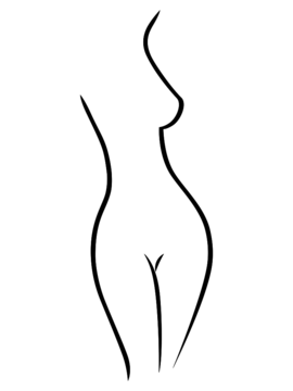 bodycontour bodycontour